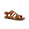 CARLASTRAS 35 41